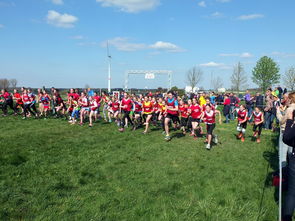 九游app官网下载-国家体育局发布青少年体育投入激励方案，青少年体育国家政策